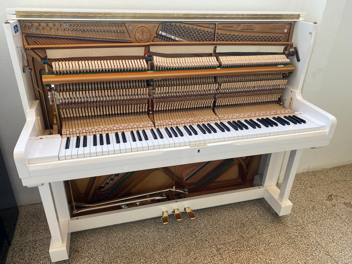 Pianino Aspheim