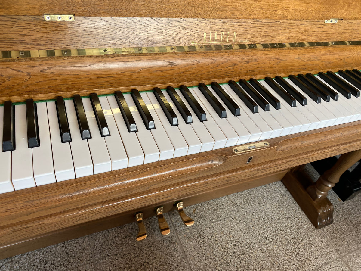 Pianino Rippen