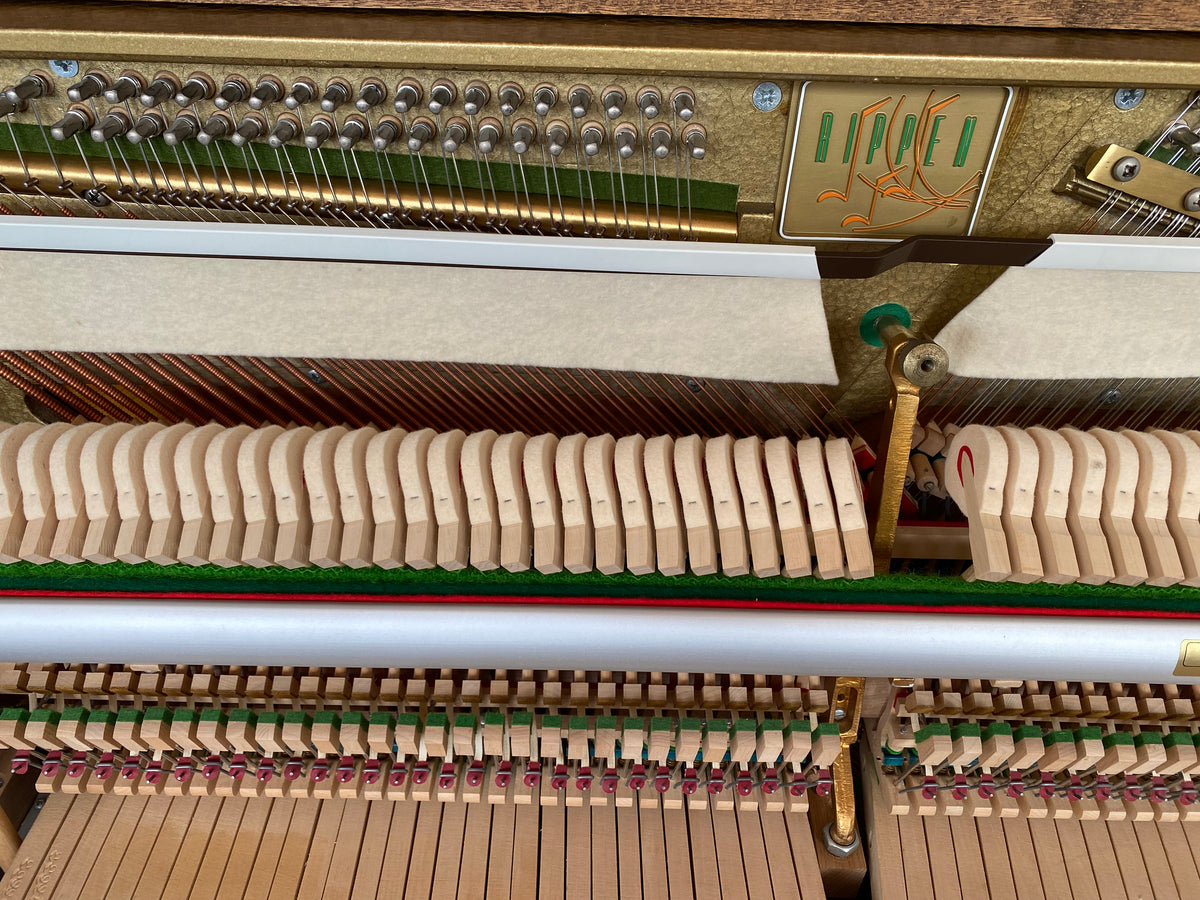 Pianino Rippen